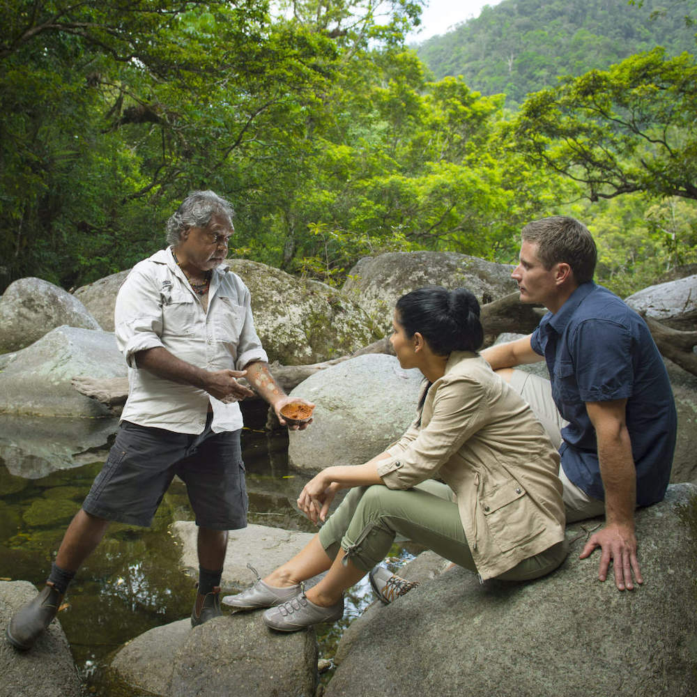 1 Day Daintree with Ngadiku Dreamtime Walk Tour