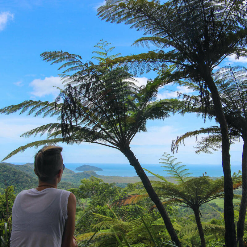 Alexandra Lookout on our Cape Tribulation and Daintree Rainforest tours.