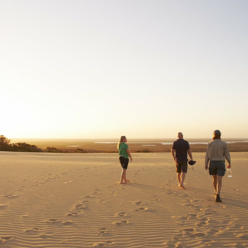 Great Sandy National Park Eli Creek on our Fraser Island tours.