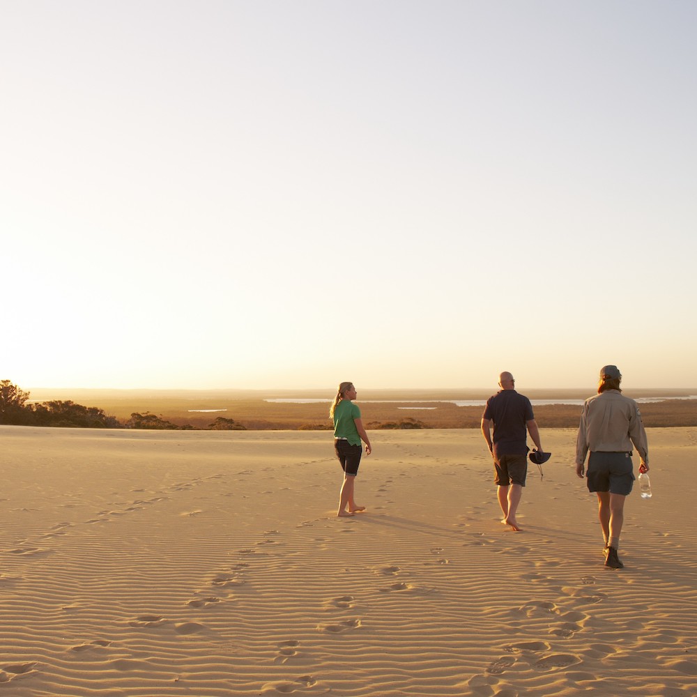 fraser island 4x4 tagalong tours