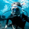 Diving on the Ningaloo Reef Australia