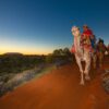 Uluru Camel Ride. Uluru Camel Tours. Camels on a tour across the desert by Uluru/ Ayers rock. See sunset or sunrise on a camel.