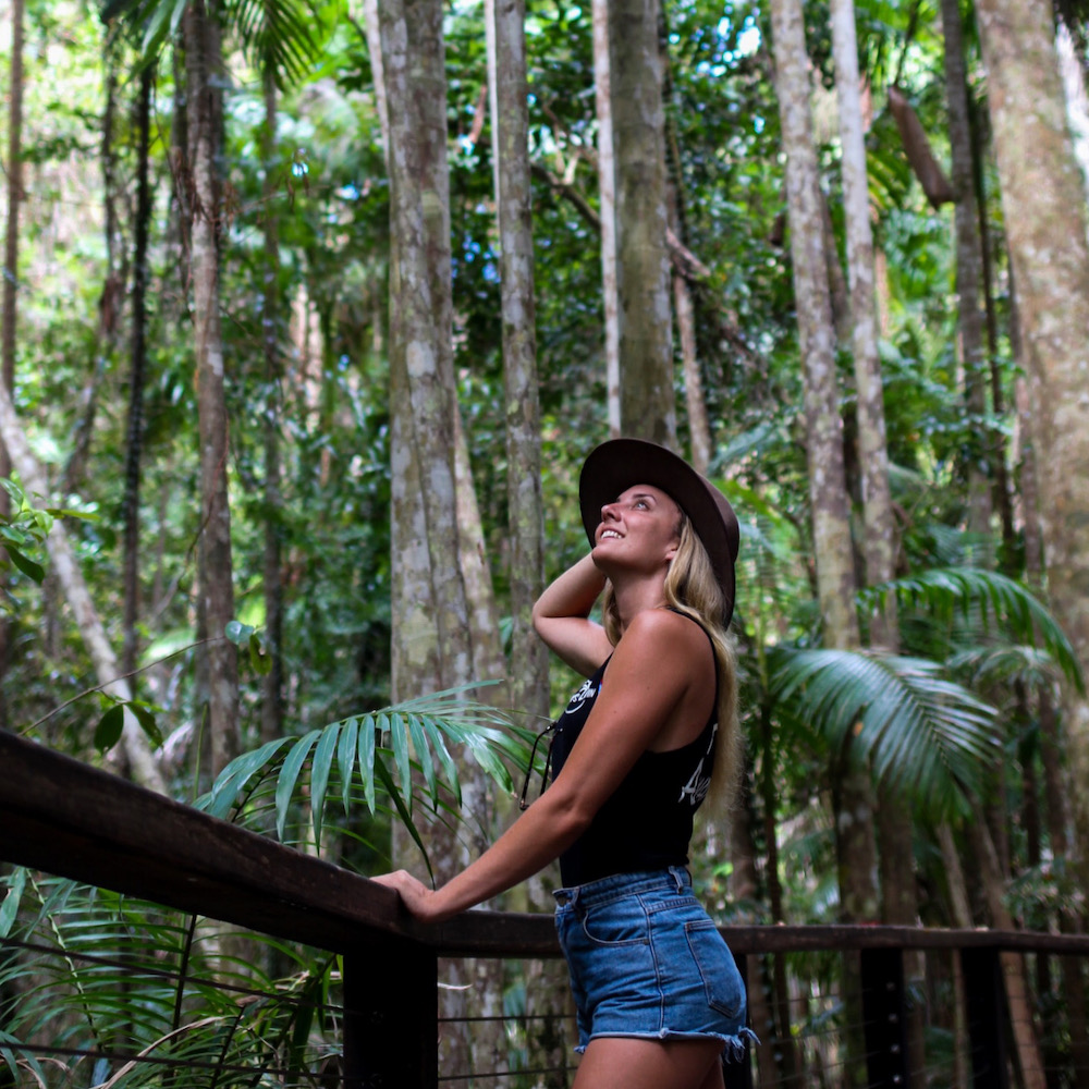Exploring Fraser Island Rainforests