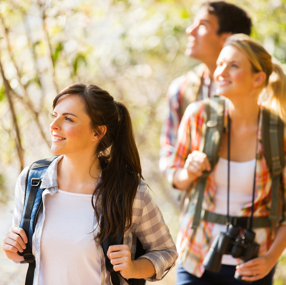 tour cairns brisbane