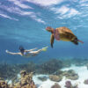 Lady swimming with turtle at Western Australia on our Western Australia tours