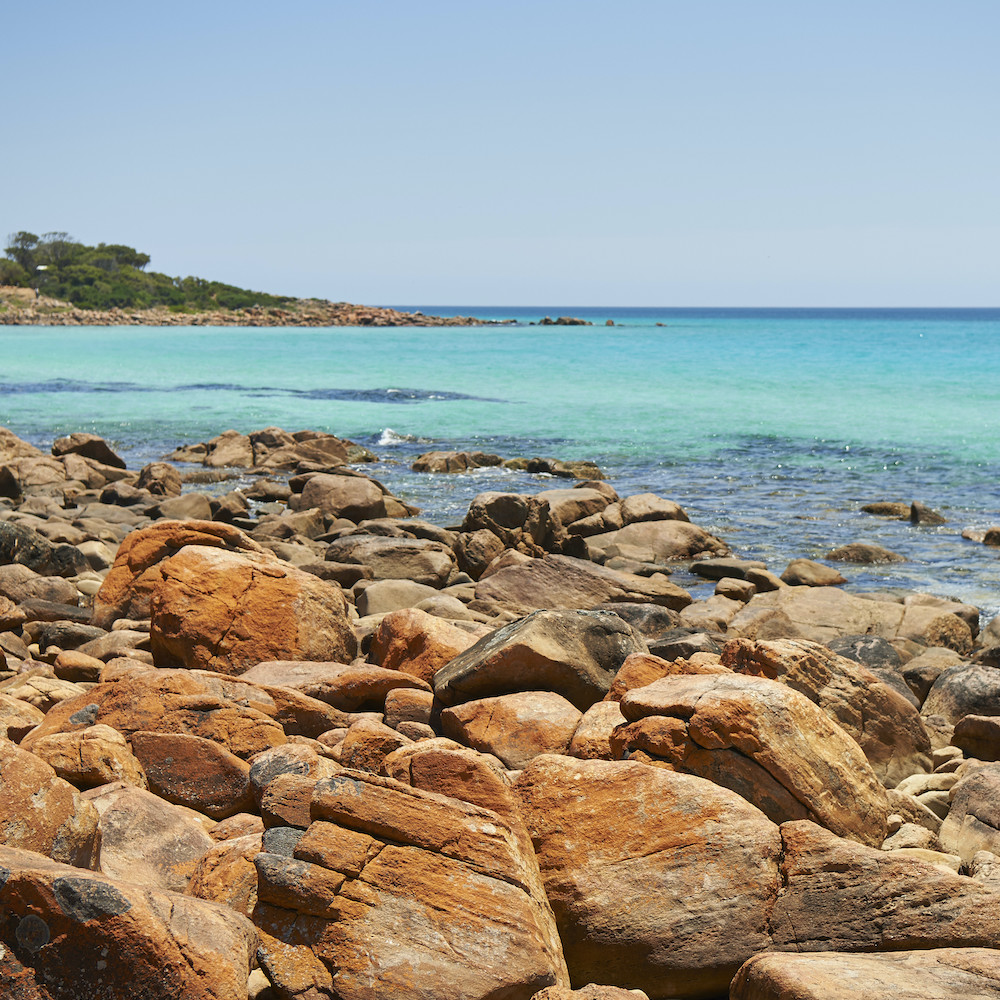 bus tours in perth