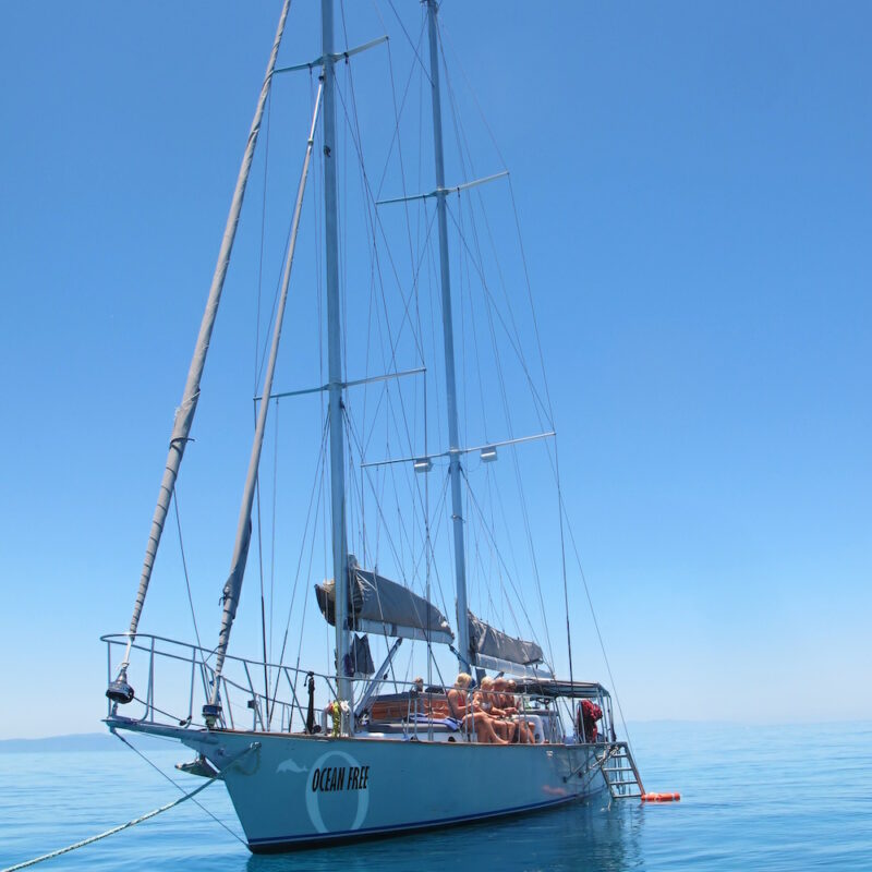 Ocean Free sailing boat on our great barrier reef day tours