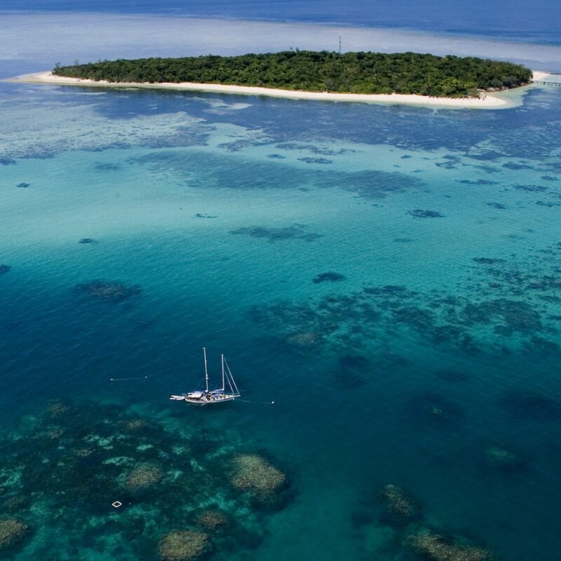 Ocean Free on GBR on our great barrier reef day tours