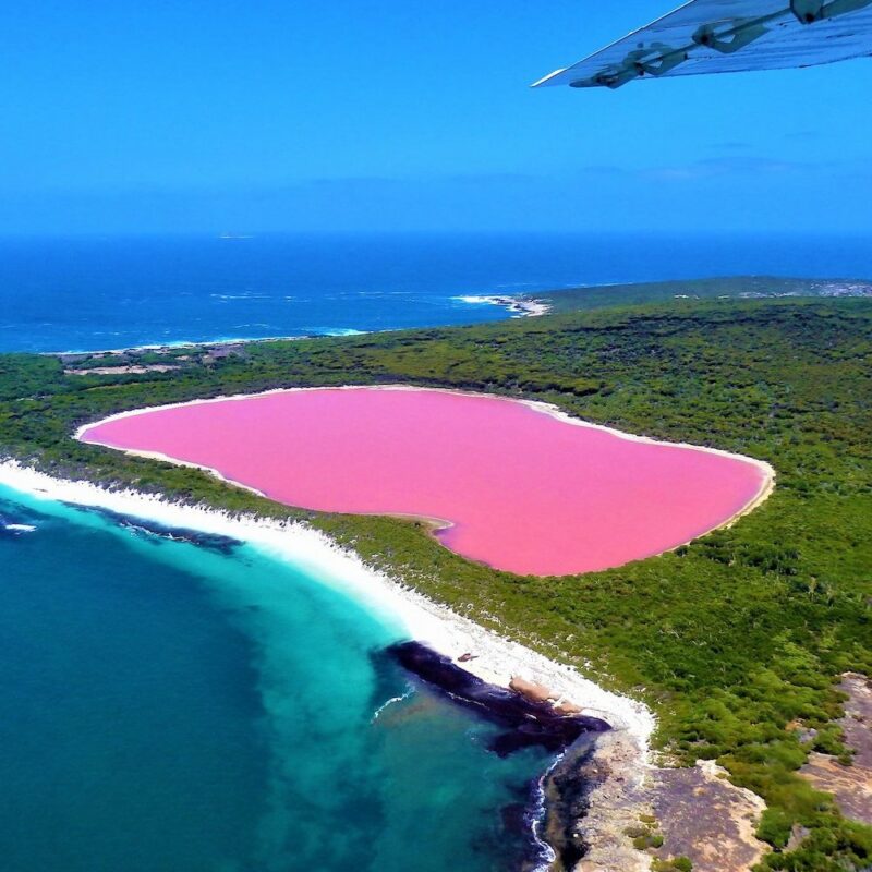 Lake Hillier Pink Lake Esperance, Western Australia on our Western Australia tours