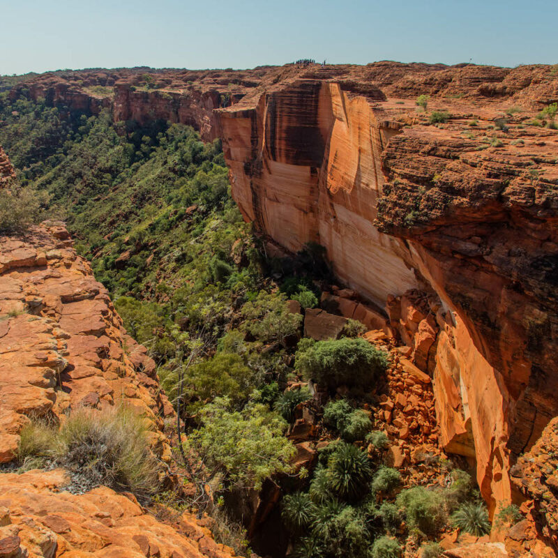 Watarrka National Park in Uluru on our Northern Territory tours.