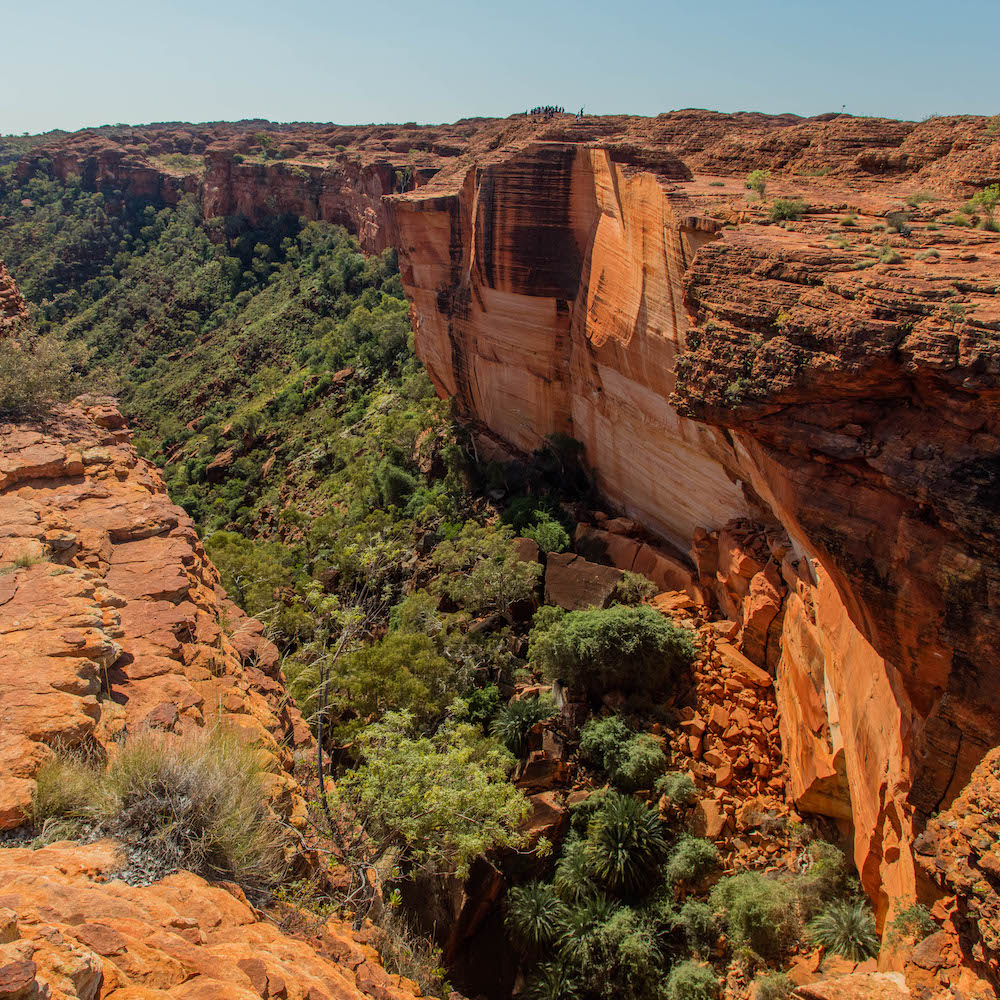 Watarrka National Park in Uluru on our Northern Territory tours.