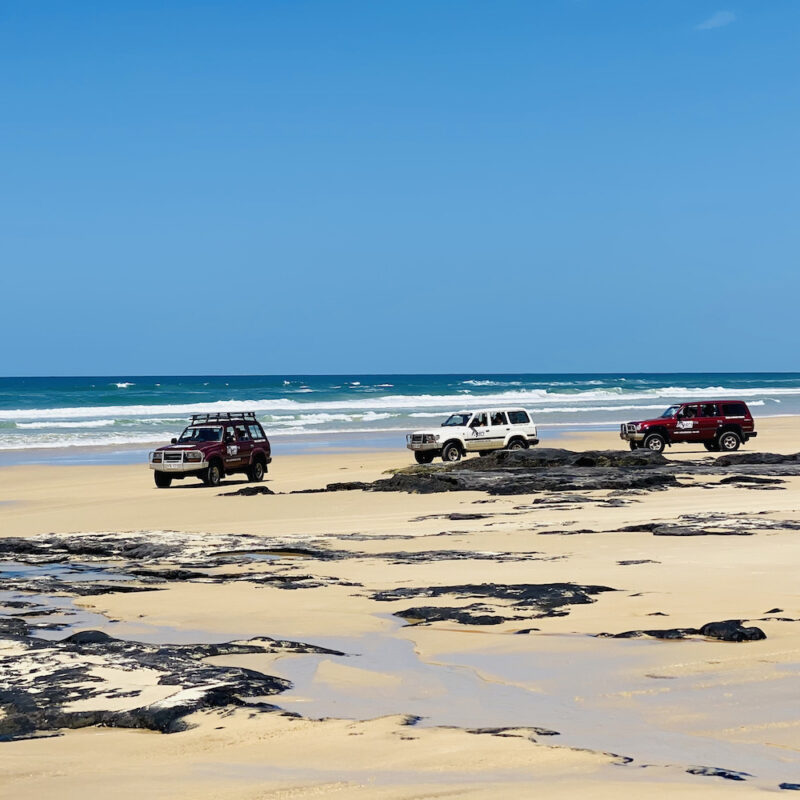 Small Group Adventure on Fraser Island. Tag Along tour on Fraser Island