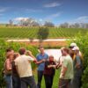 Yarra Valley Wine Tour