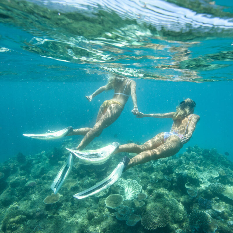 Snorkelling at the Great Barrier Reef. Adrenalin Dive and Snorkel at Lodestone Reef, Great Barrier Reef, QLD