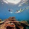 Take a photo underwater. Great Barrier Reef on our great barrier reef day tours