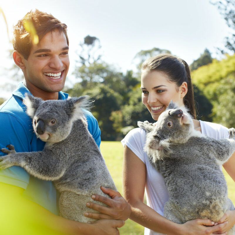 Lone Pine Koala Sanctuary, Brisbane, QLD