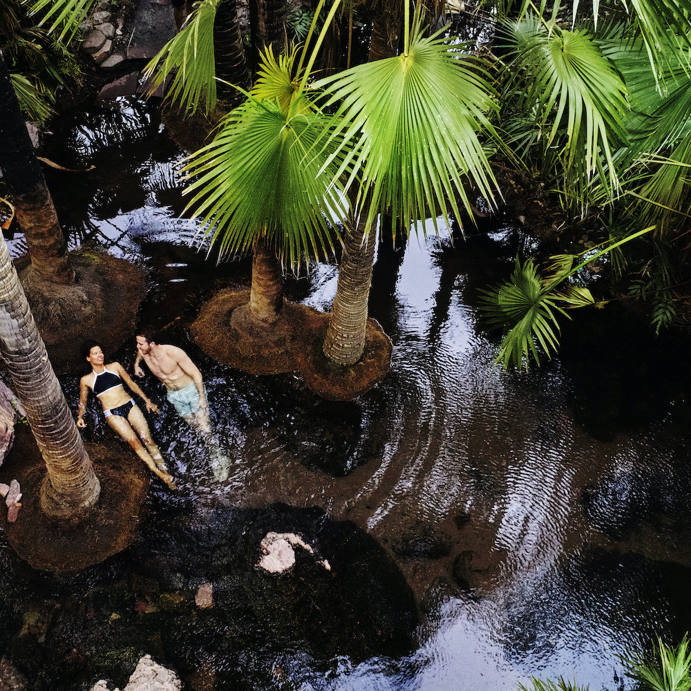 Zebedee Springs, El Questro Wilderness Park The Kimberley, Western Australia