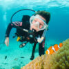 Diver with Nemo on the Great Barrier Reef on our Great Barrier Reef day tour
