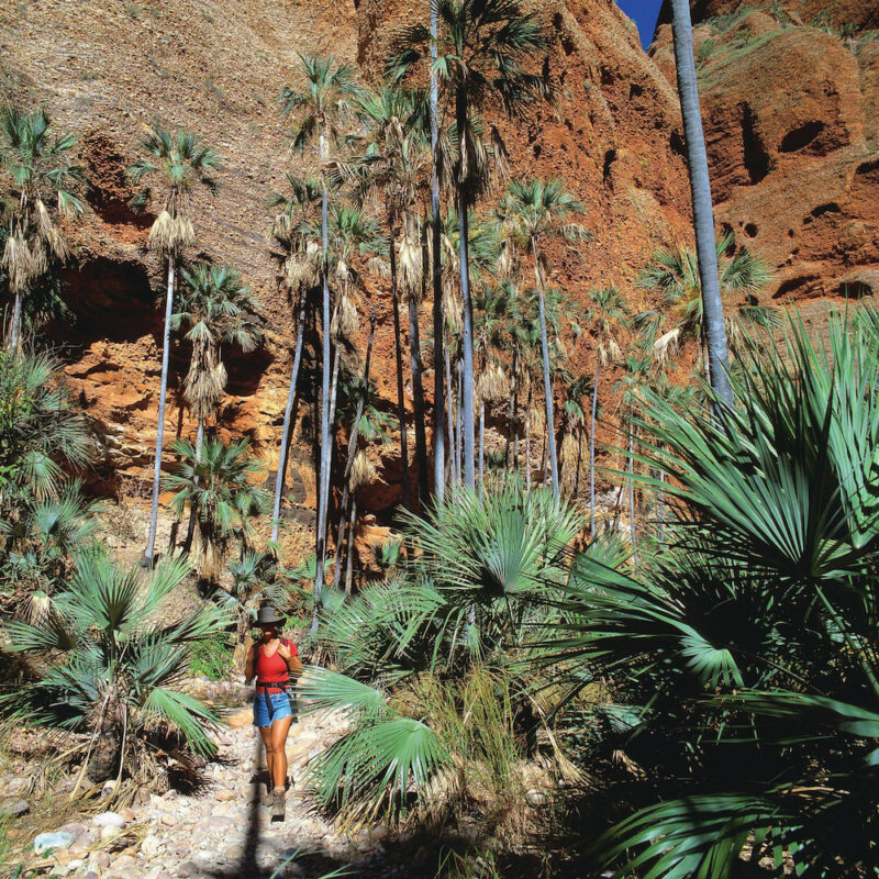 Hiker walking through Echidna Chasm on our Darwin to Broome Kimberley tour