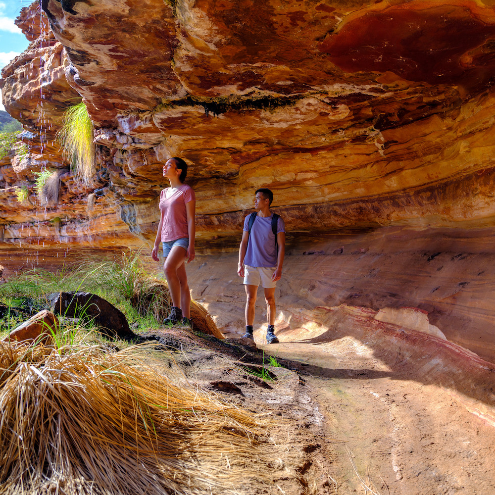 bus tours in western australia