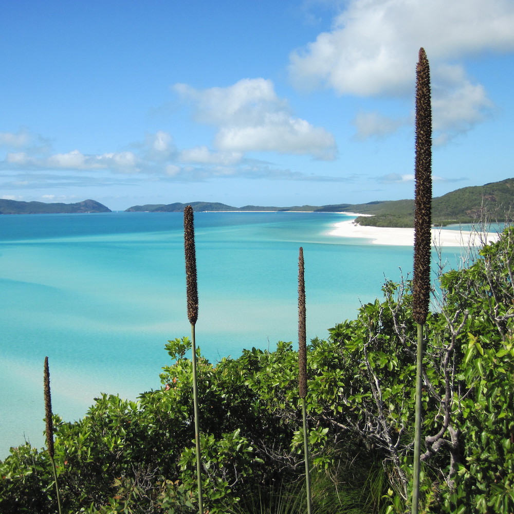 island day trip airlie beach