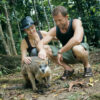 Patting Wallaby on our Cape Tribulation and Daintree Rainforest tours.