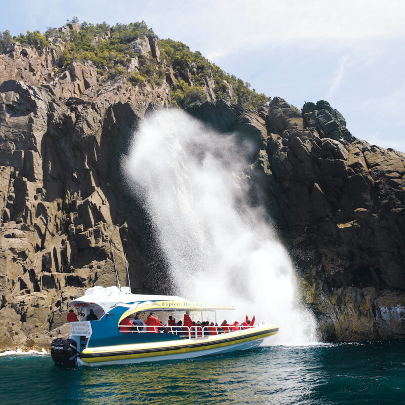Bruny Island Cruise on tour in Tasmania.