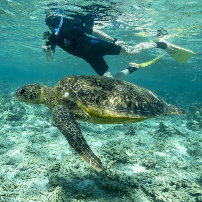 Where to Snorkel in Australia - Real Aussie Adventures