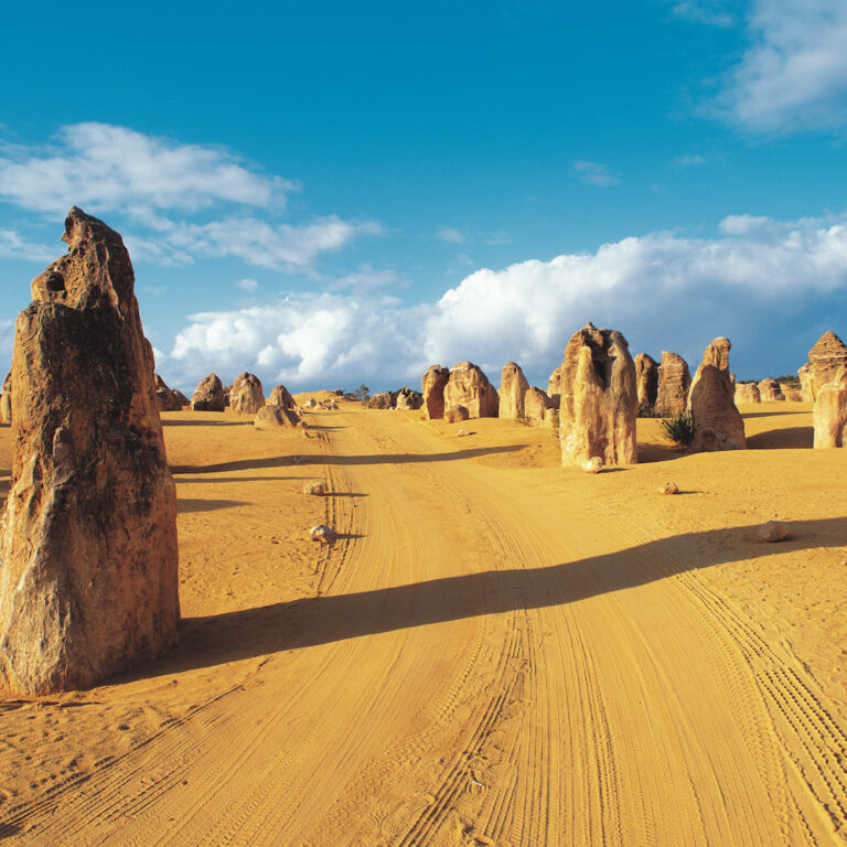 The sand road of WA Pinnacles Nambung National Park on our Pinnacles Tours