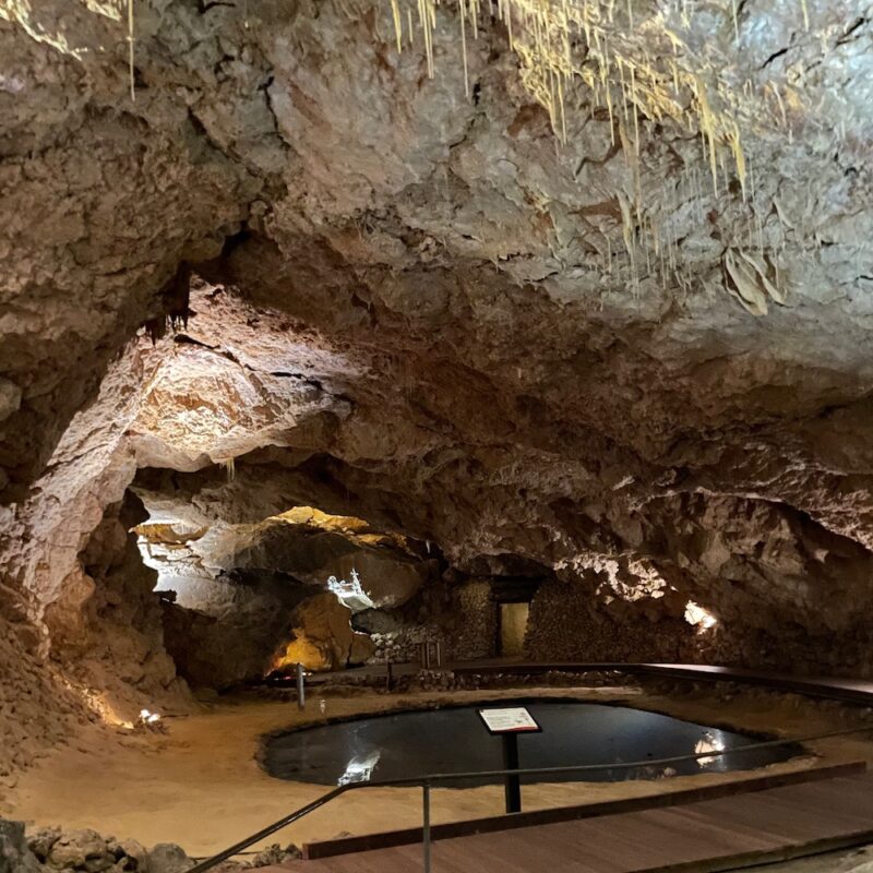 Crystal Cave Yanchep NP western australia tours