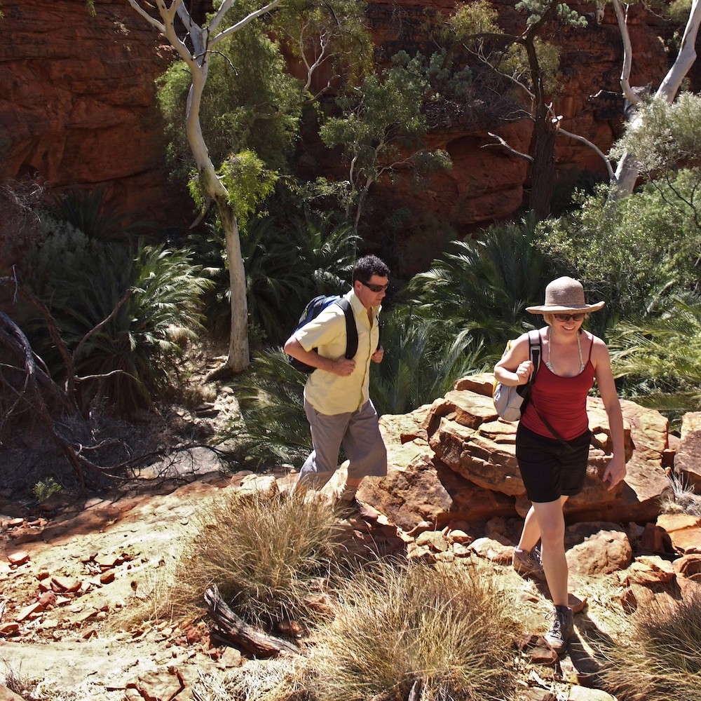 Watarrka National Park, NT, Kings canyon