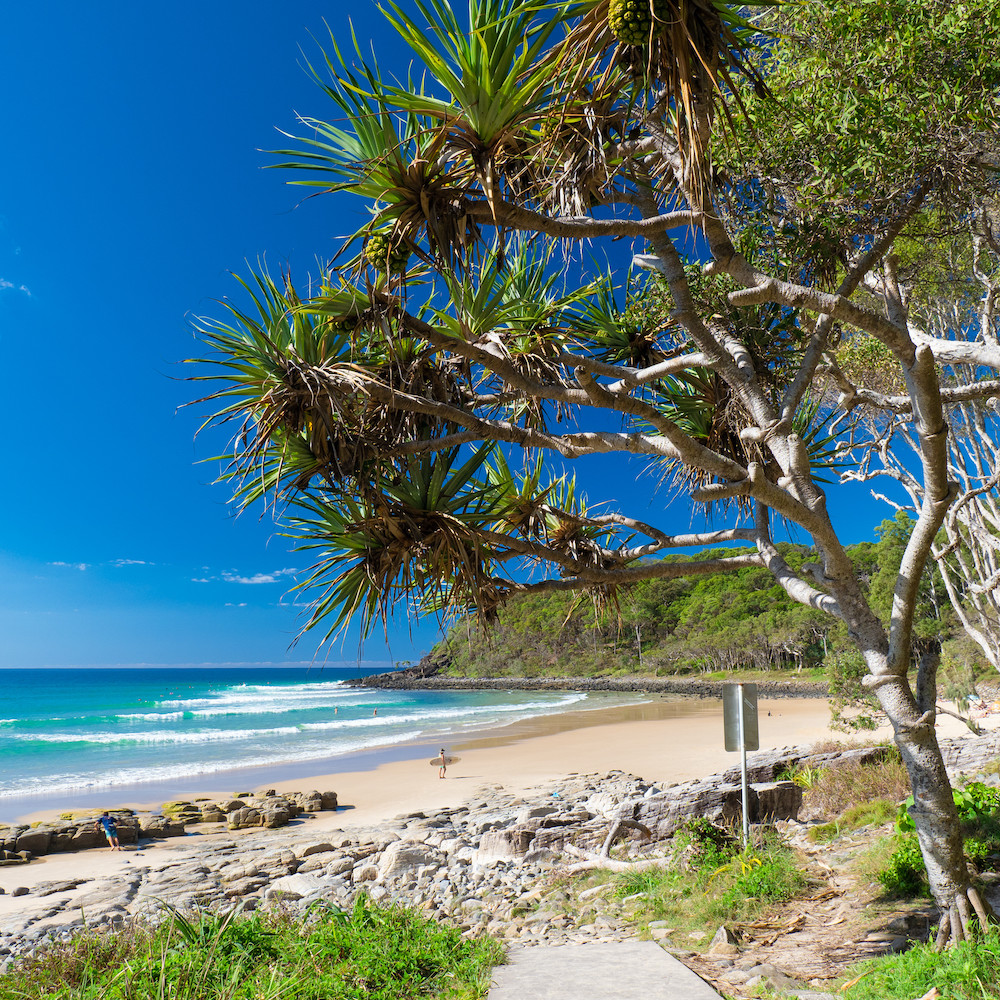 tour cairns brisbane