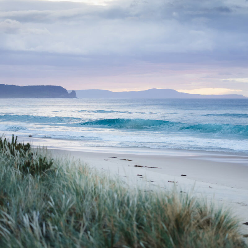 Bruny Island Neck is an isthmus of land connecting north and south Bruny Island.