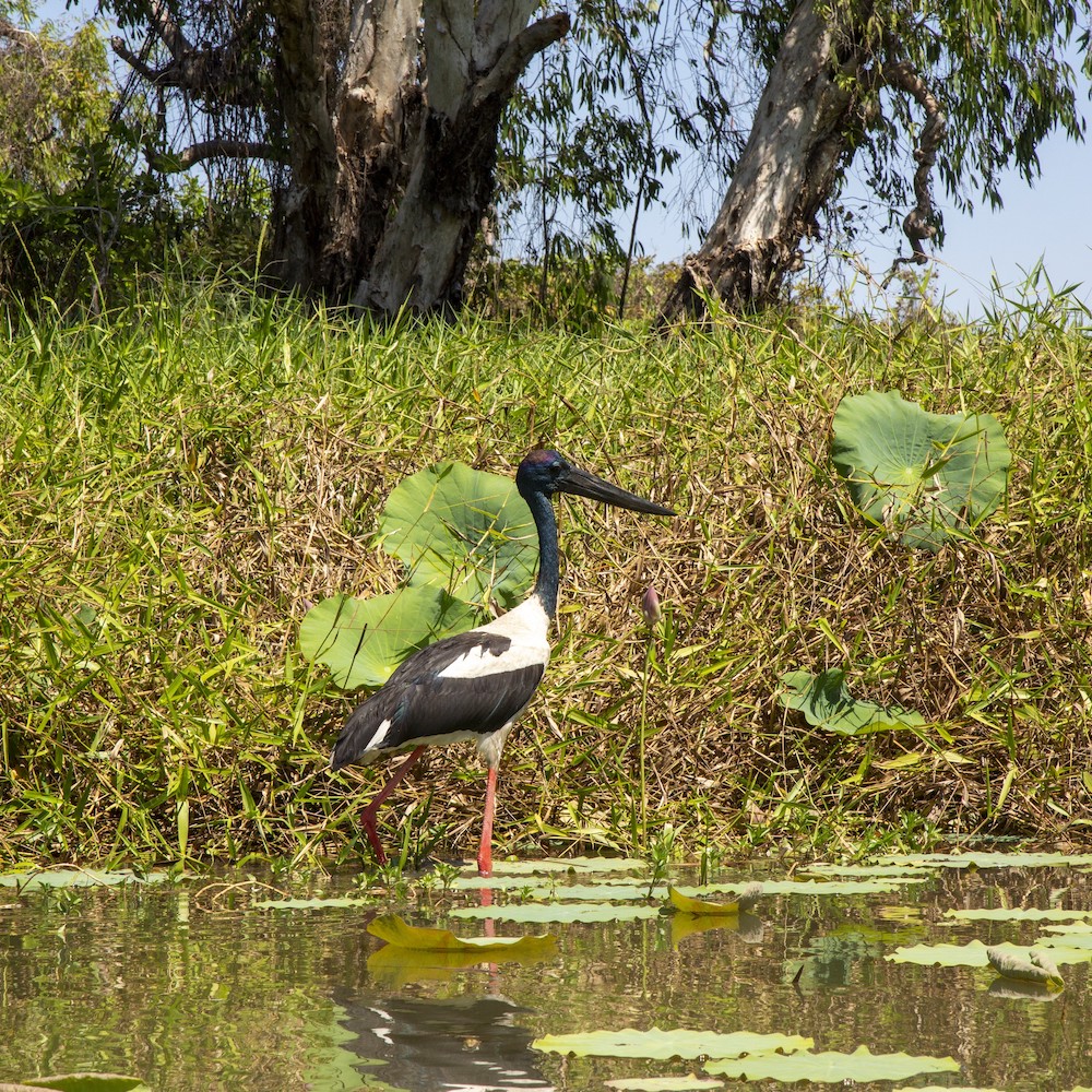 3 day tours darwin