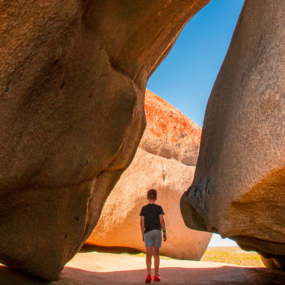 kangaroo island experience day tour