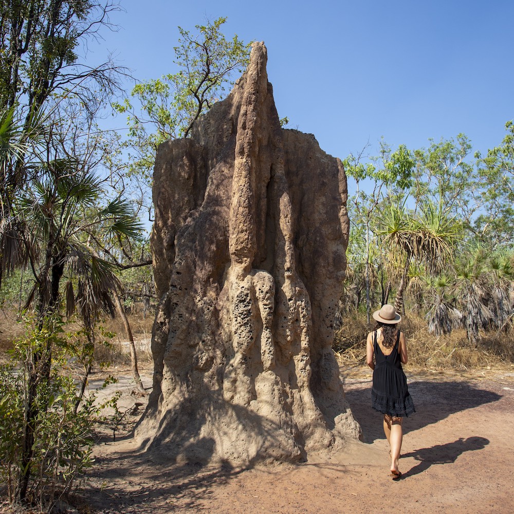 art tour darwin