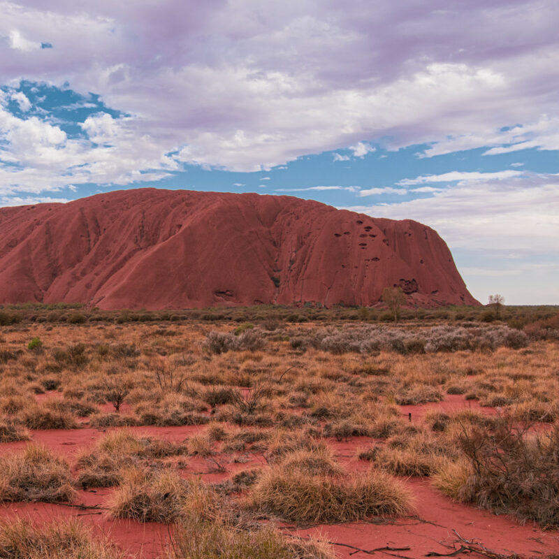 Real Aussie Adventures, Small Group Adventure Tours Australia. Colours of Uluru on our Uluru tour from Alice Springs or Ayers Rock