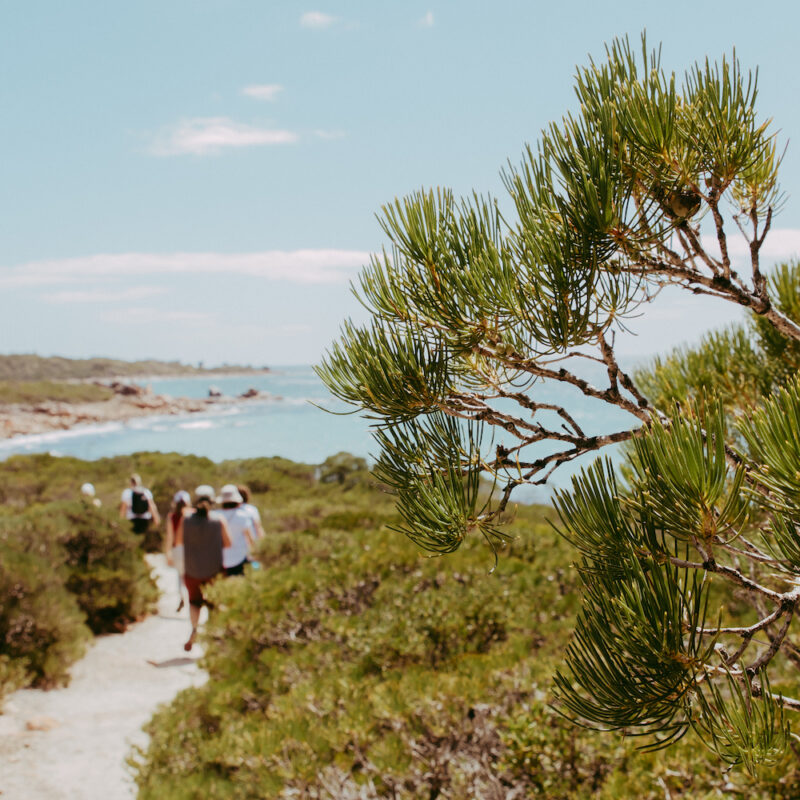 Real Aussie Adventures, Small Group Adventure Tours Australia. Hike Cape to Cape Track Yoga Retreat from Margaret River