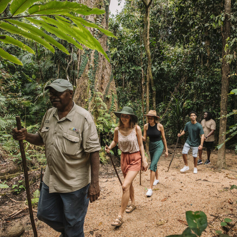 Real Aussie Adventures, Small Group Adventure Tours Australia. Group taking part in the guided Dreamtime Walk experience on our cape tribulation day tour from cairns