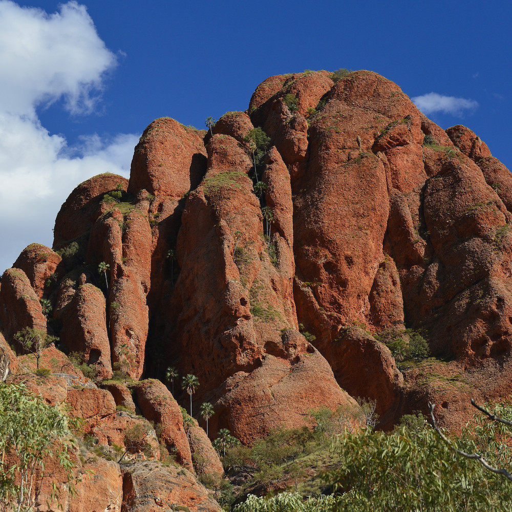 tours kimberley region australia