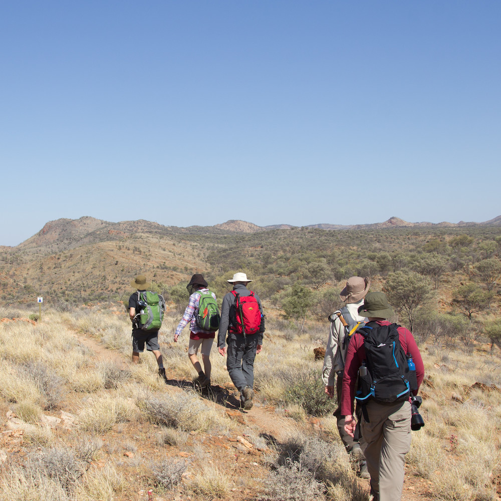 Visitors trekking along the Larapinta Trail.