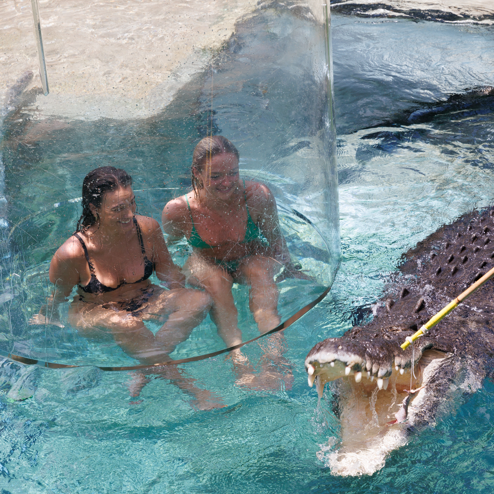 Croc Cove is a must-visit destination for animal lovers and thrill-seekers alike.