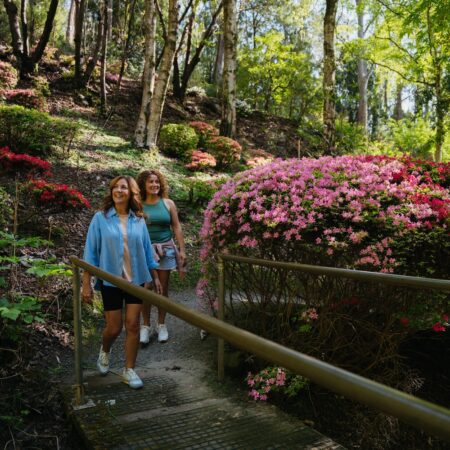 Title:
Adelaide Botanic Garden
Two women walking in the gardens. 
Region:
Adelaide
Mandatory Credit:
South Australian Tourism Commission