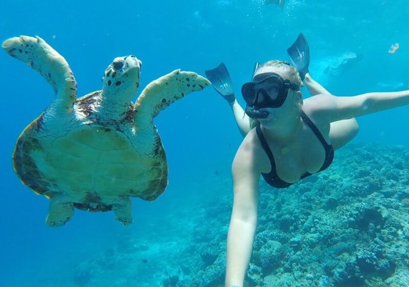 Snorkle in Bali with a Turtle Intro