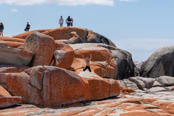 5-tägige Tour von Hobart nach Hobart Tasmanien – Bild 10