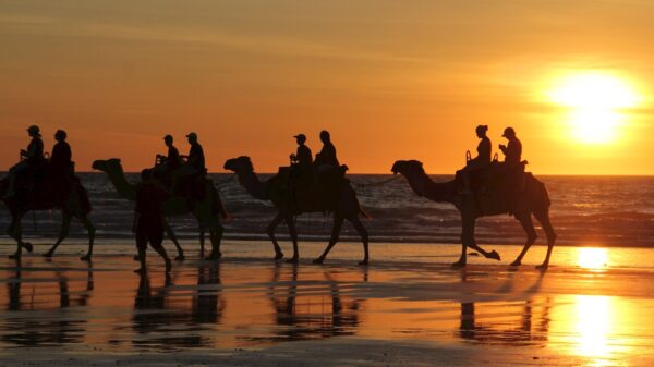 10 Day Perth to Broome Tour – Bild 14