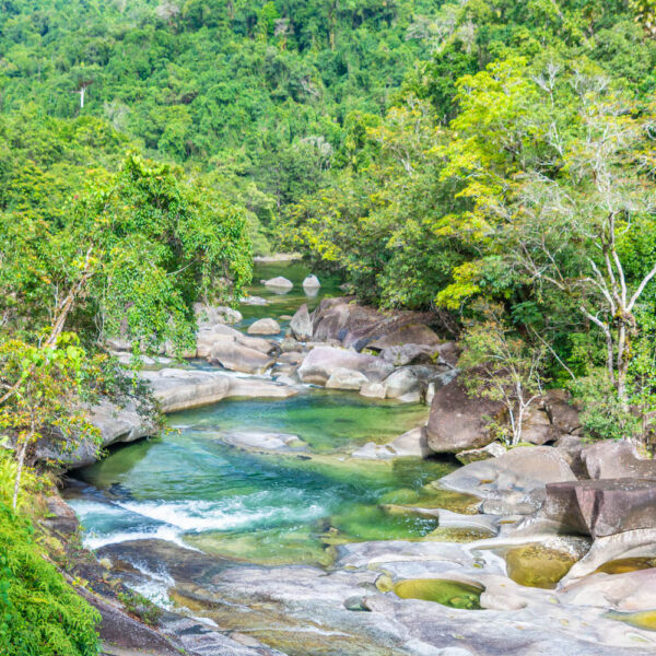 1 Day Atherton Tablelands Waterfalls Tour – Bild 4