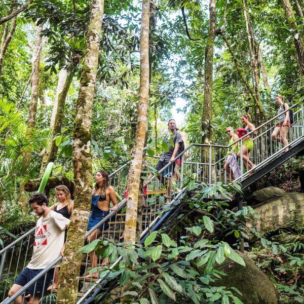 1 Day Atherton Tablelands Waterfalls Tour – Bild 2