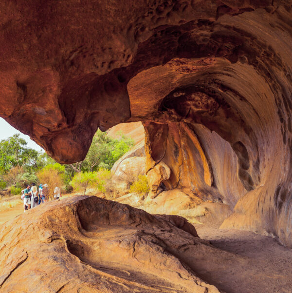 5-tägige Campingtour im Red Centre Outback – Bild 7