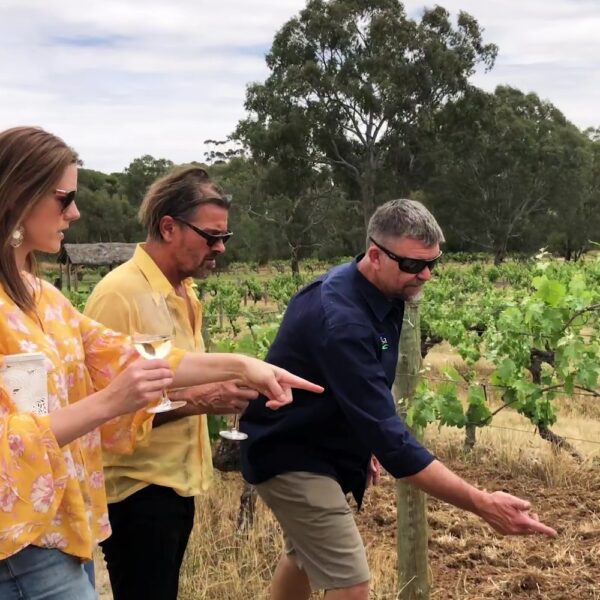 1 Day Barossa Valley Tour - Image 3